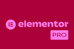 elementor pro elementor pro